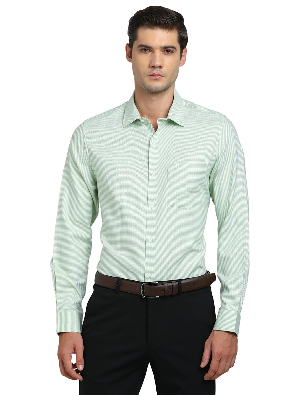 Turtle Men 100% Cotton Regular Fit Dobby Light Green Formal Shirt