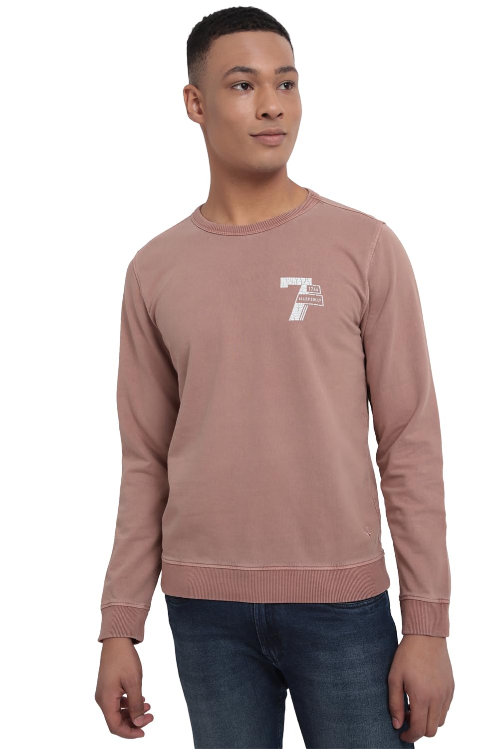 Allen Solly Men Casual Cotton Full Sleeve Crew Neck T-Shirt