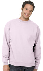 Unisex Ecosmart 5050 crewneck Sweatshirt - cARDINAL - S(D0102H7KFKJ)