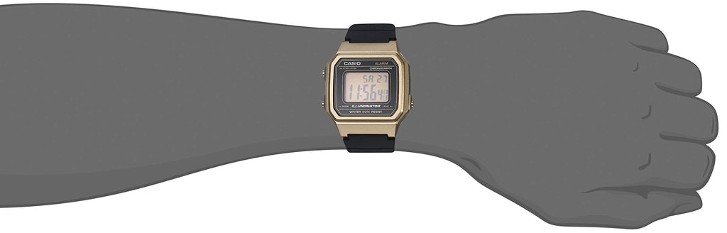Casio Classic