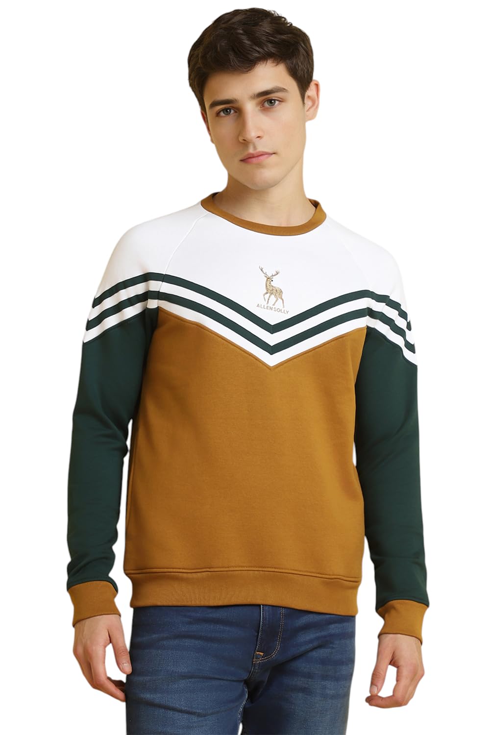 Allen Solly Men Regular Fit Cotton Full Sleeve Crew Neck T-Shirt