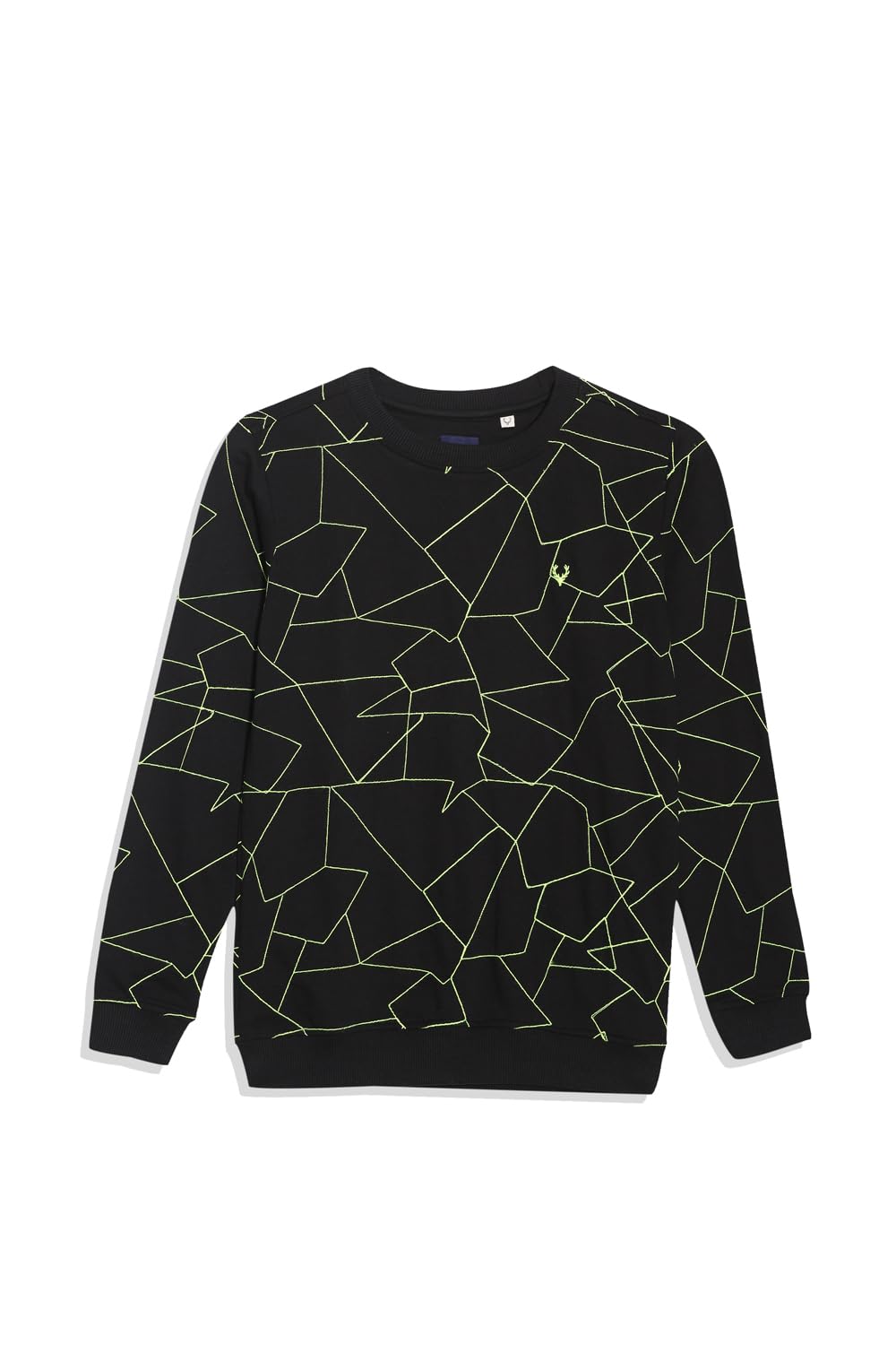 Allen Solly Boys Regular Fit Printed Full Sleeve T-Shirt
