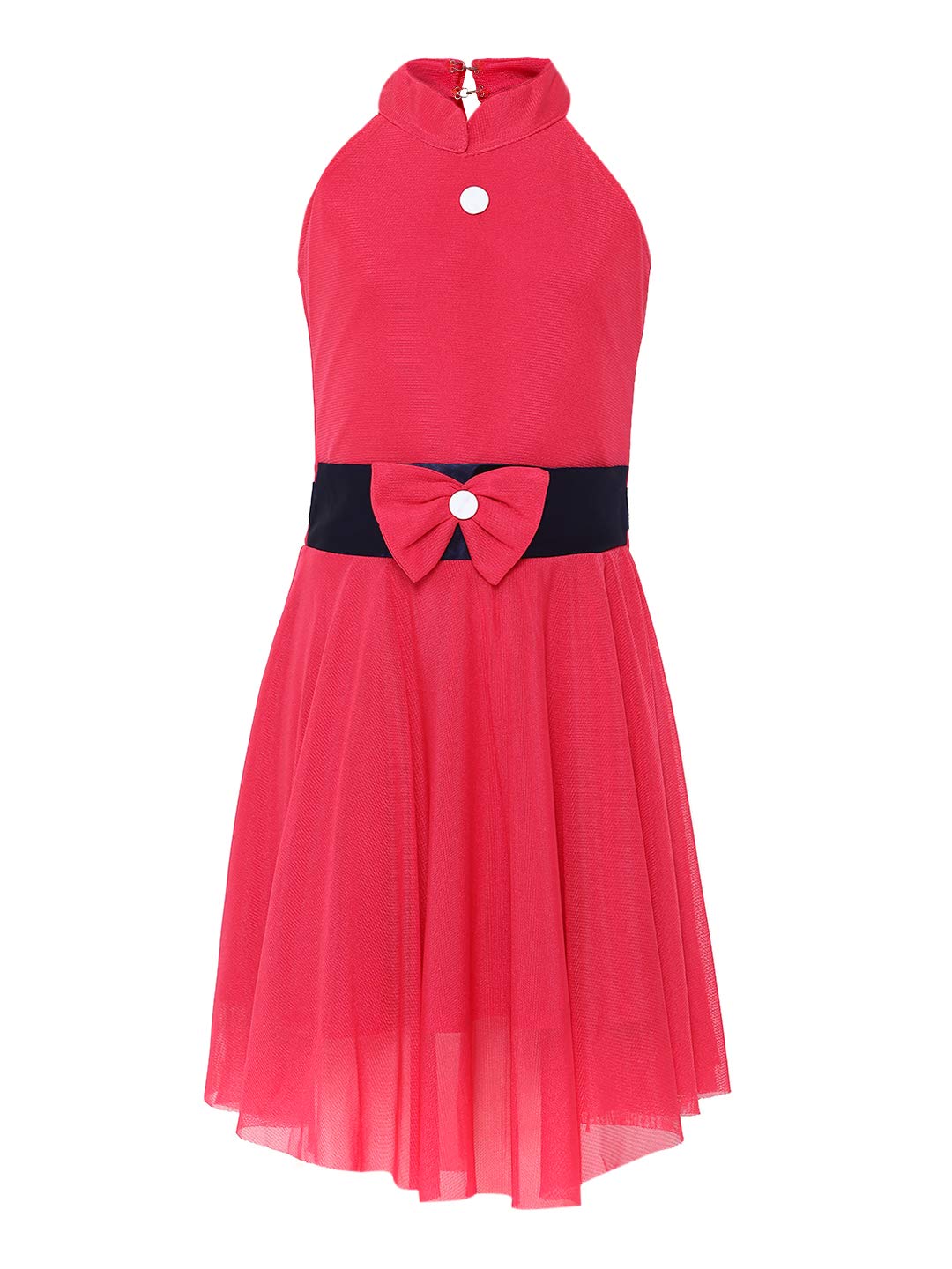Aarika Net Frock for Girls