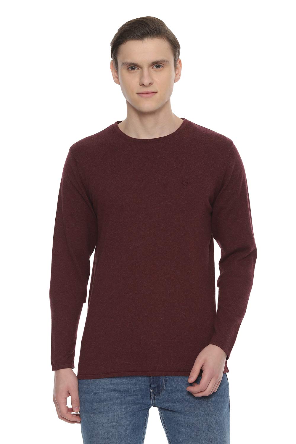 Allen Solly Men Cotton Pullover