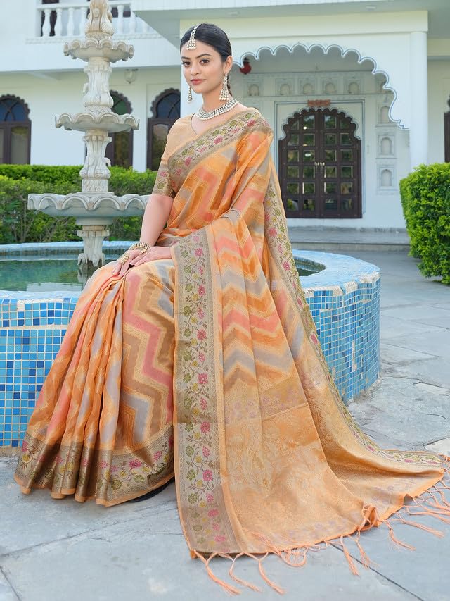 Satrani Womens Organza Banarasi Jacquard Saree with Unstitched Blouse Piece
