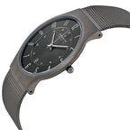 Skagen Men's Sundby Three-Hand Date Charcoal Gray Titanium Mesh Band Watch (Model: 233XLTTM)