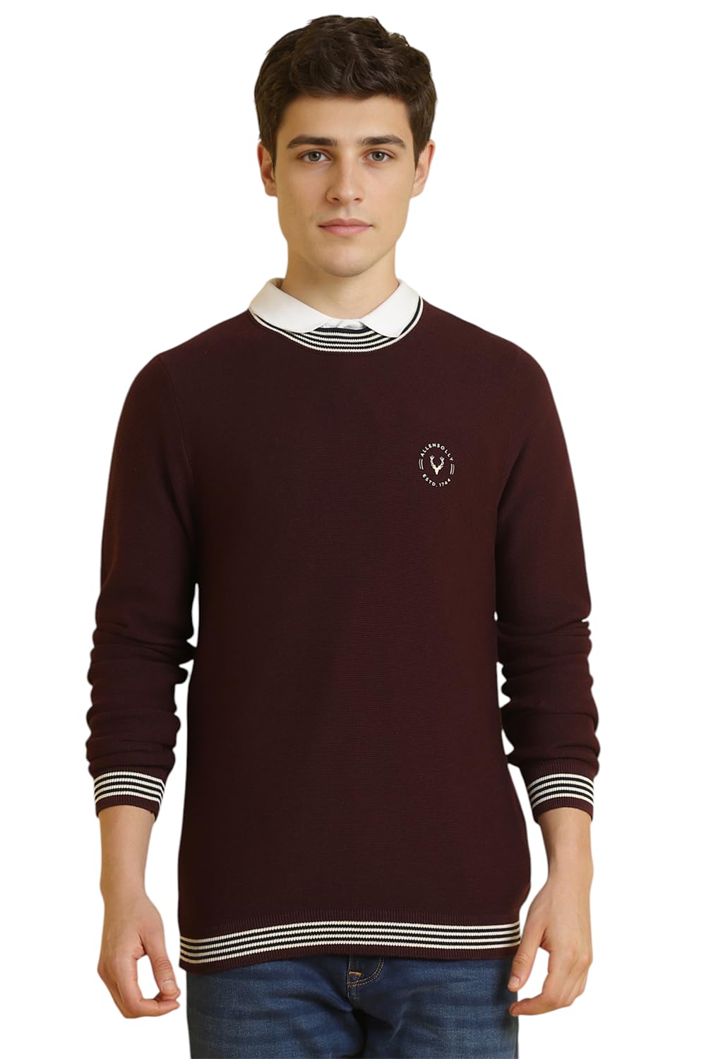 Allen Solly Men Solid Full Sleeve Crew Neck Pullover