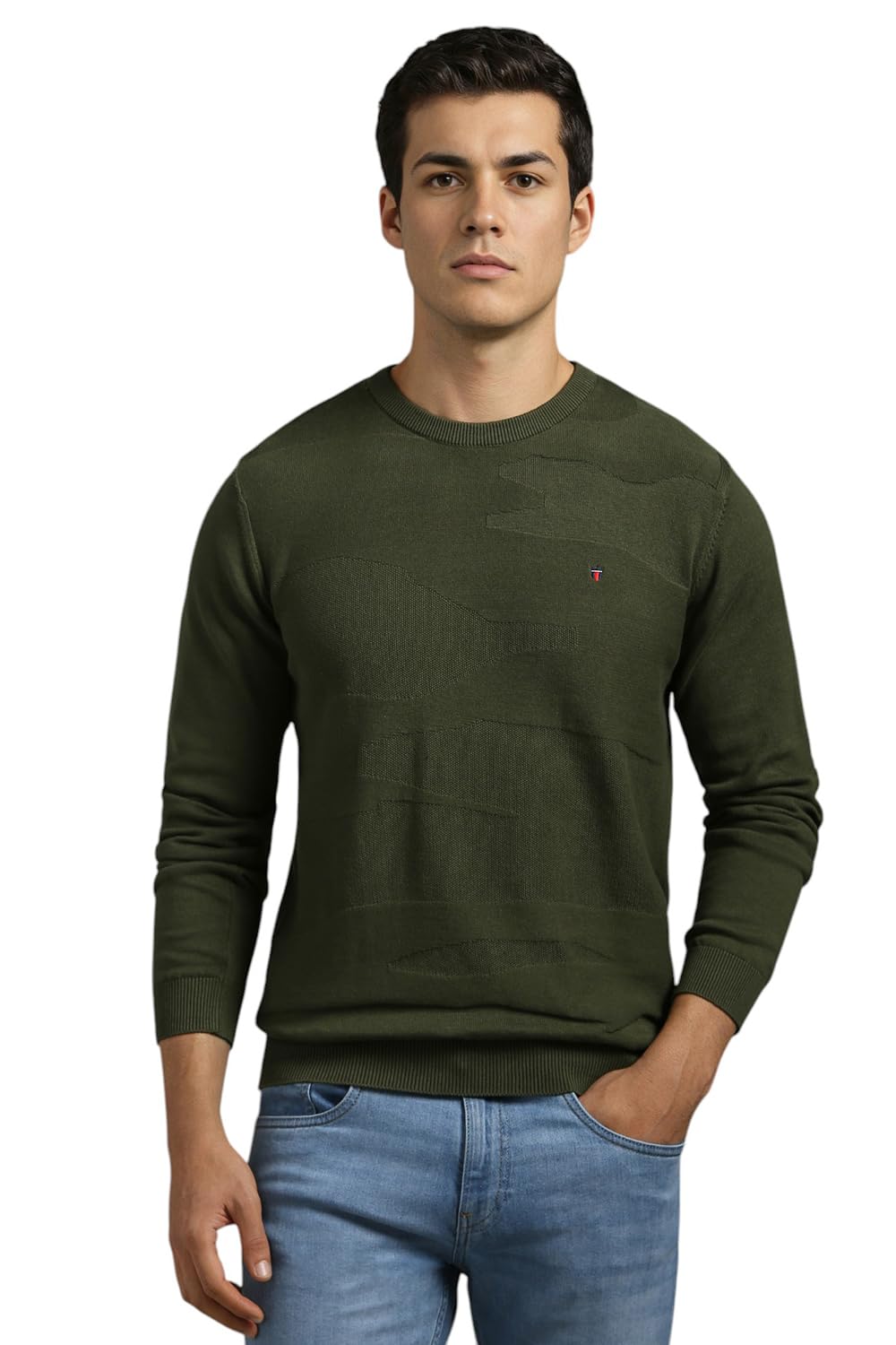 Louis Philippe MenS Cotton Crew Neck Sweater (Lrswcrgfm25391_Olive