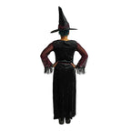 Spider Web Witch Costume Small/Medium 2-8