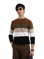 The Indian Garage Co Mens Slim Fit Colourblocked Long Sleeves Crew Neck Flat Knit T-Shirt