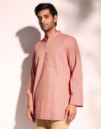 Fabindia MenS Cotton Dobby Regular Short Kurta (1038371Purple_Purple