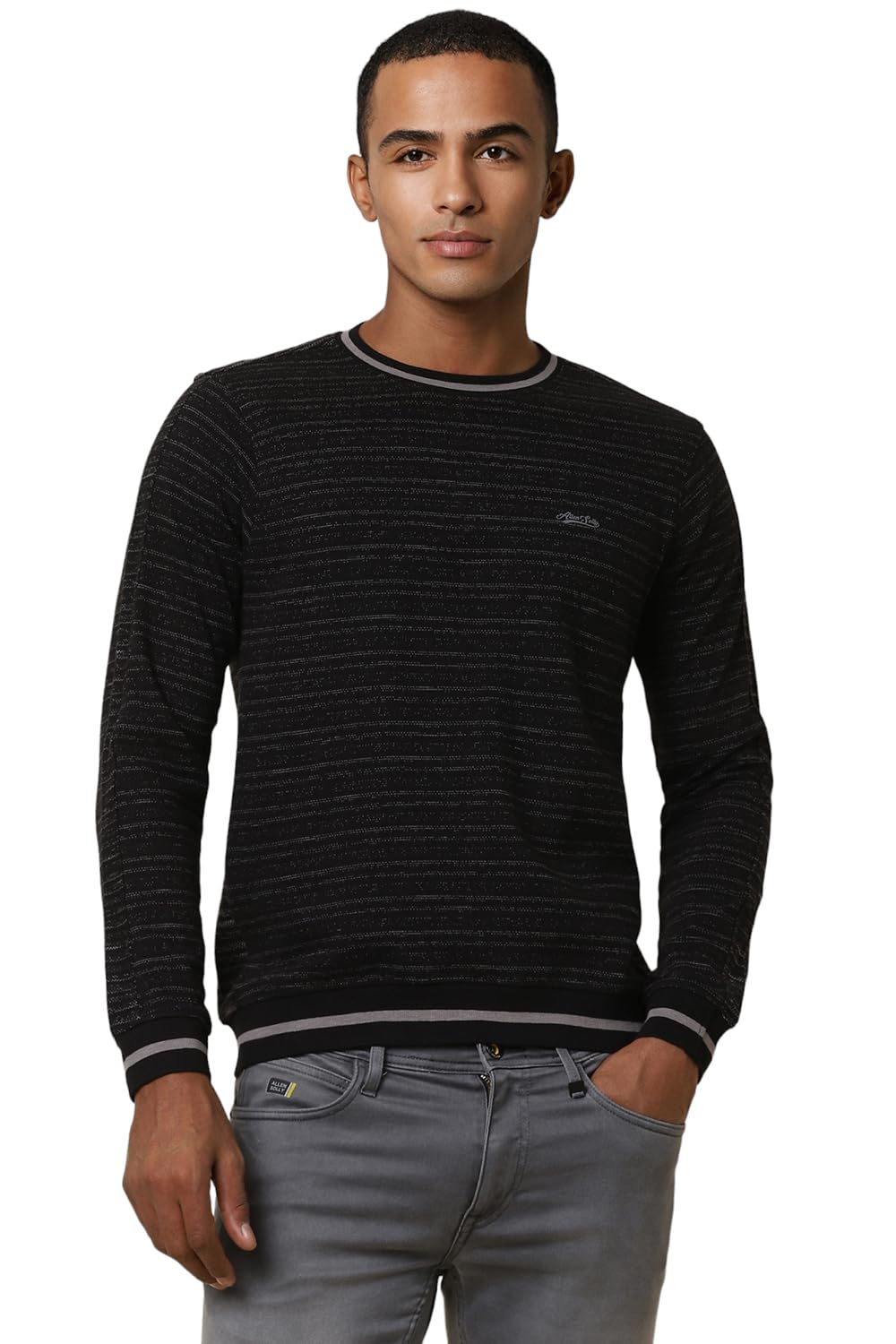 Allen Solly Men Striped Full Sleeve Crew Neck Pullover