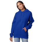Hanes Men's Pullover EcoSmart Hooded Sweatshirt, Deep Royal, Large