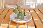 PUDDING CABIN Cactus Christmas Gifts for Women Cactus Ring Holder Dish Birthday Gifts for Women Girls Friends, Cactus Decor for
