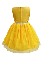 A.T.U.N. (ALL THINGS UBER NICE) Girls Embroidered Birthday Party Frock Dress