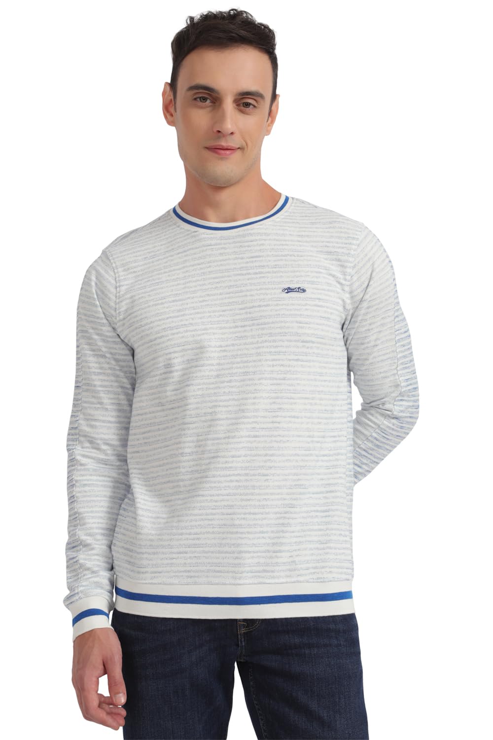 Allen Solly Men Striped Casual Full Sleeve Crew Neck T-Shirt