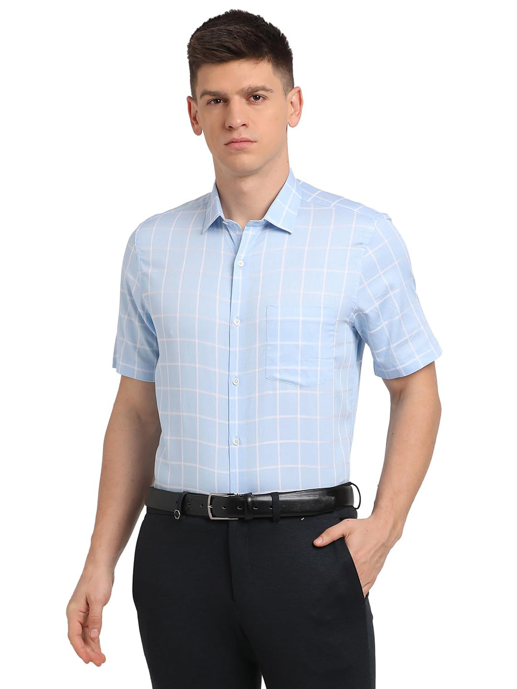 Turtle Men 100% Cotton Blue Checkered Regular Fit Formal Shirt