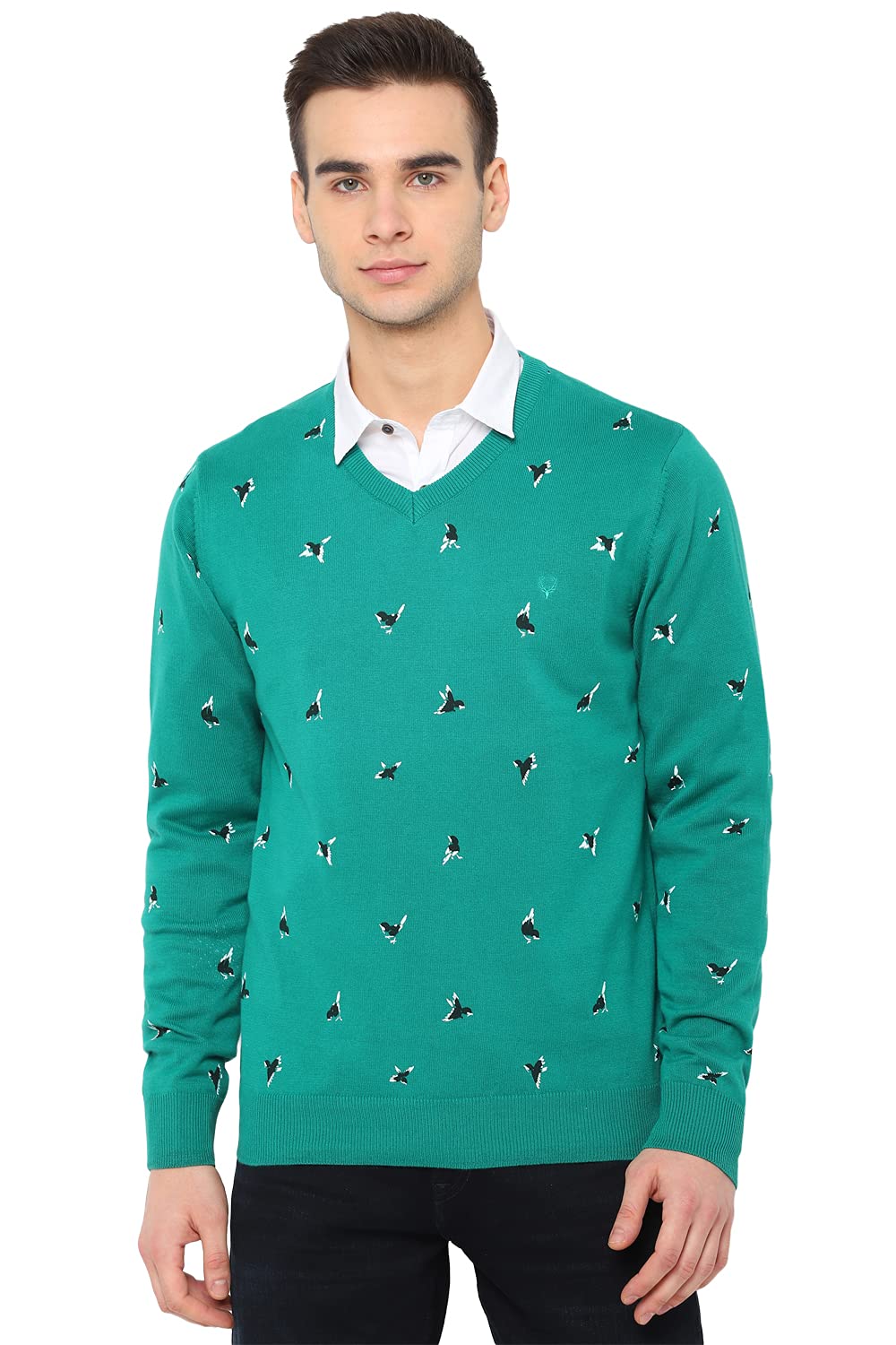 Allen Solly Women Cotton V Neck Pullover
