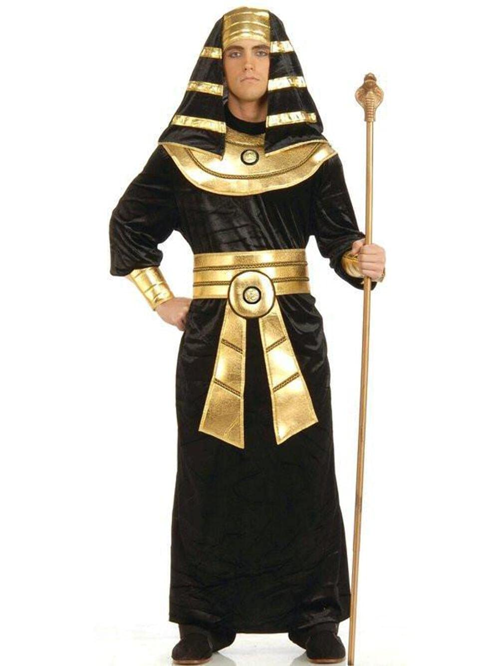 Forum Novelties Men's Egyptian Pharaoh Costume, As Shown, Standard