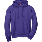 Hanes Men's Pullover EcoSmart Hooded Sweatshirt, purple, 4X Large