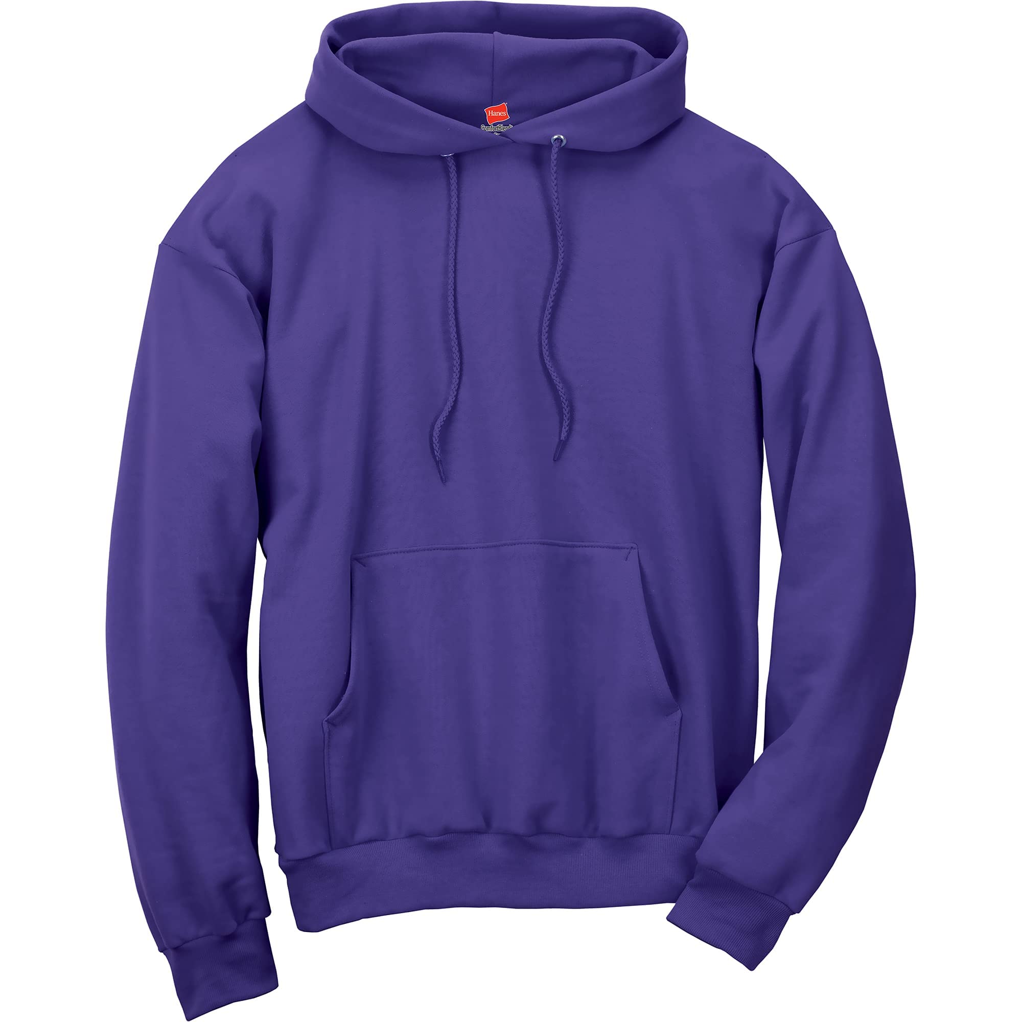 Hanes Men's Pullover EcoSmart Hooded Sweatshirt, purple, 4X Large