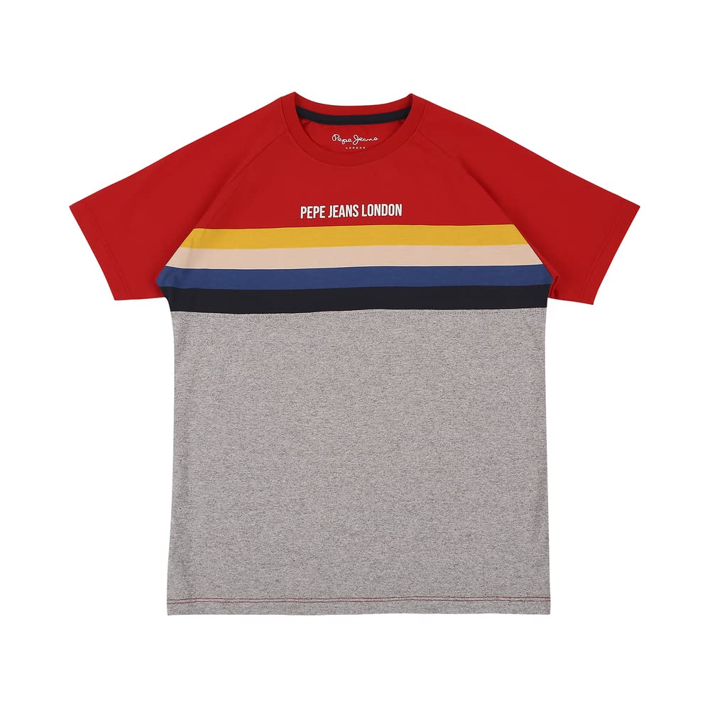 Pepe Jeans Color Block Jersey Crew Neck Boys T-Shirt (Grey, 10 To 11 Years)