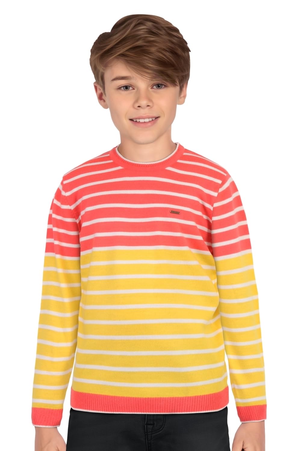 Allen Solly Boys Regular Fit Striped Casual Cotton Full Sleeve Pullover