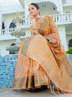Satrani Womens Organza Banarasi Jacquard Saree with Unstitched Blouse Piece