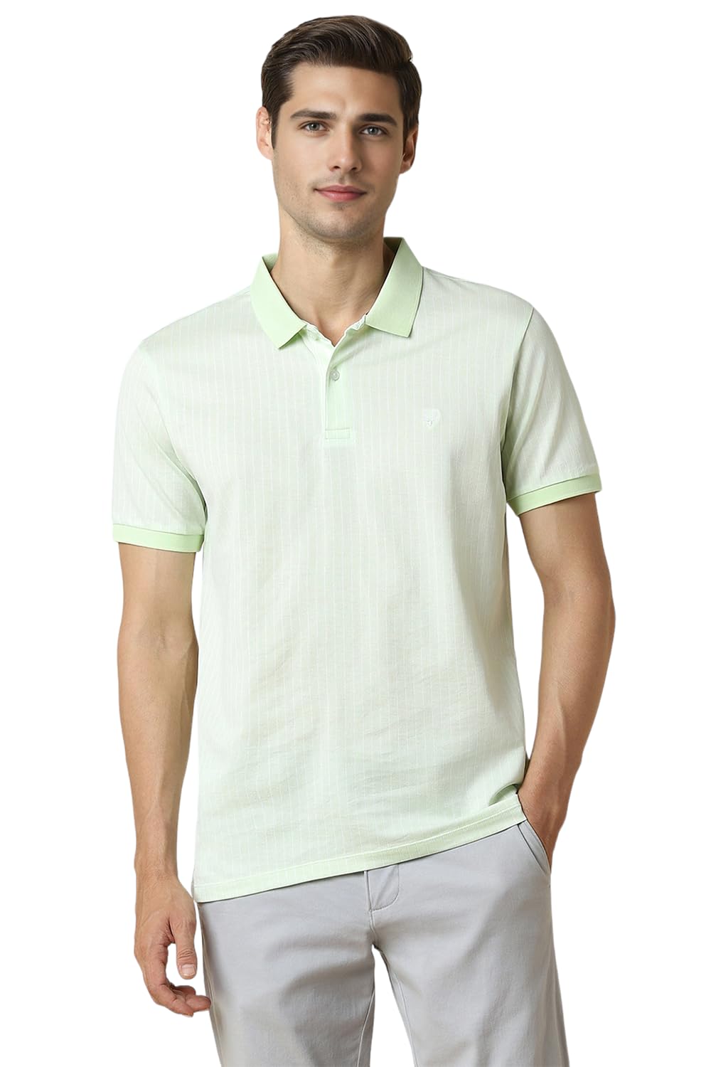 Allen Solly Men Regular Fit Striped Casual Half Sleeve Short Sleeve Polo Shirt