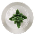 HOME SMILE Ceramic Aloe Ring Holder with Derorative White Dish Dish for Jewelry,Christmas Birthday Gifts