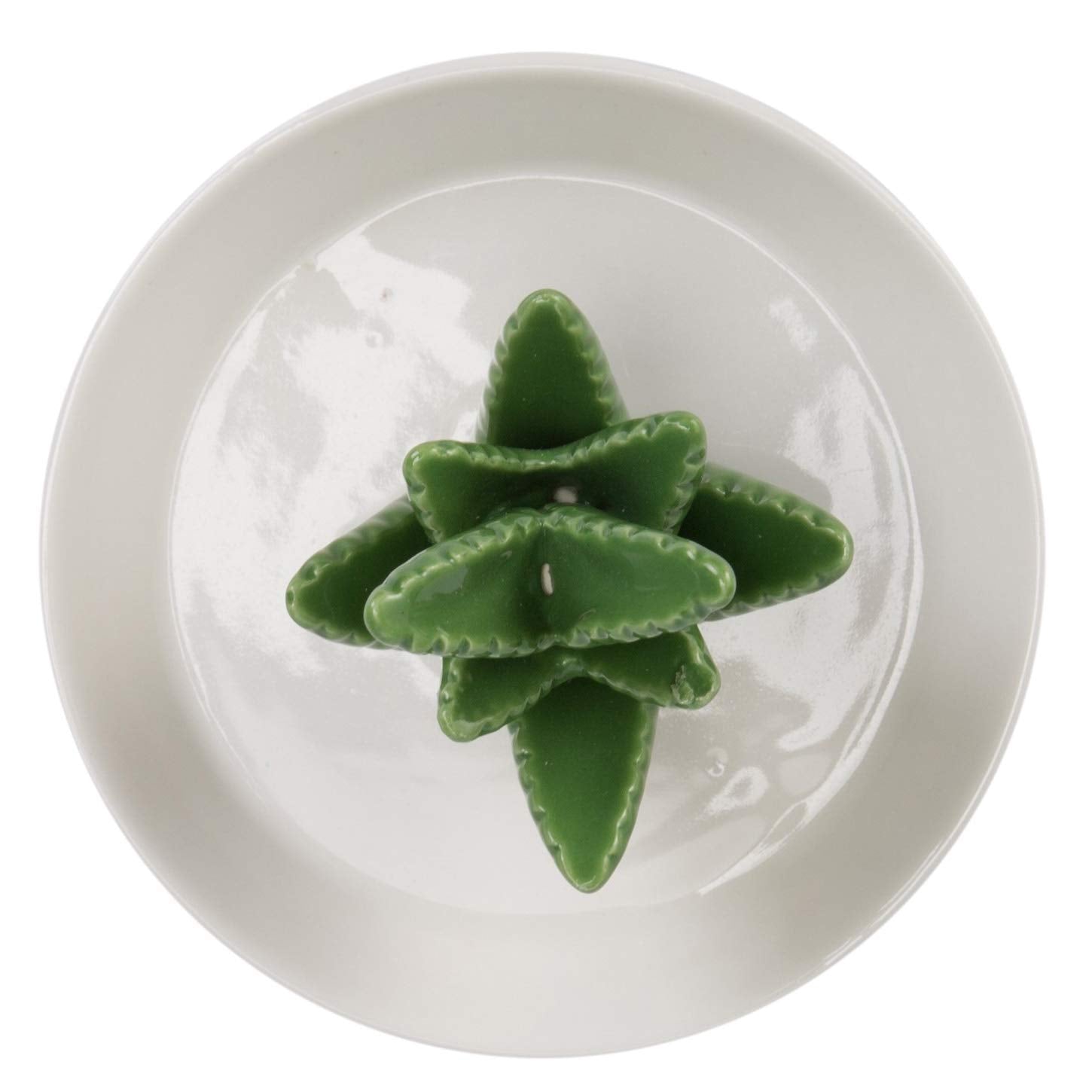 HOME SMILE Ceramic Aloe Ring Holder with Derorative White Dish Dish for Jewelry,Christmas Birthday Gifts