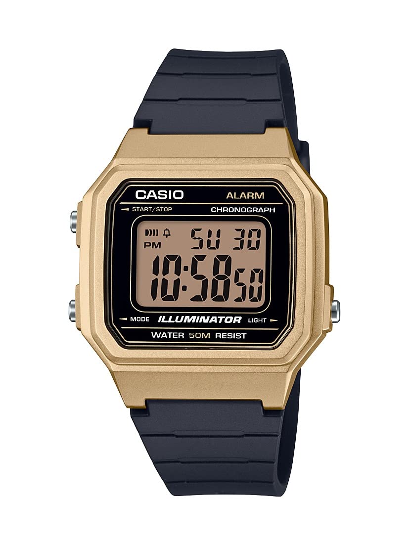 Casio Classic