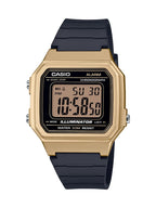 Casio Classic