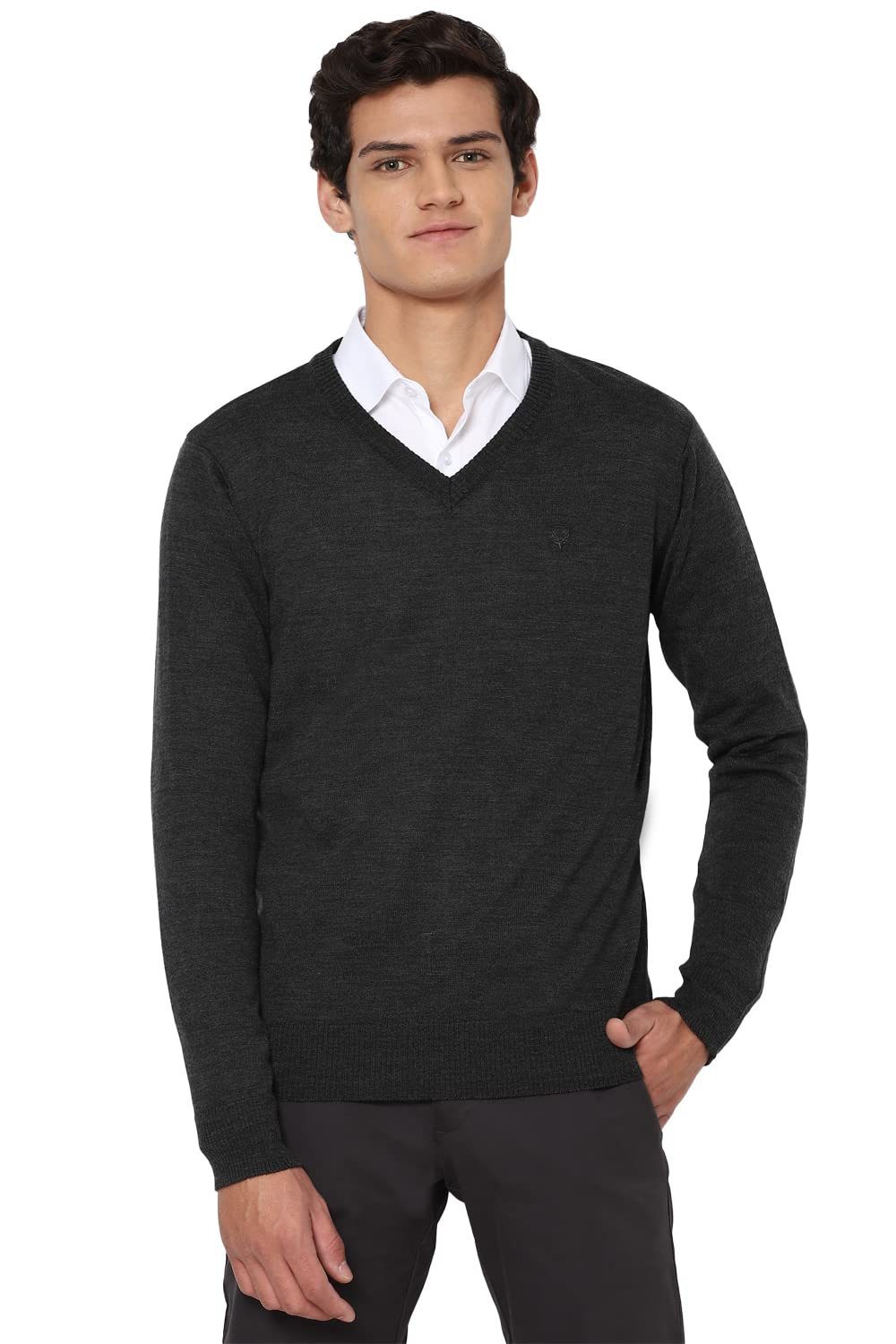 Allen Solly Men Sweater