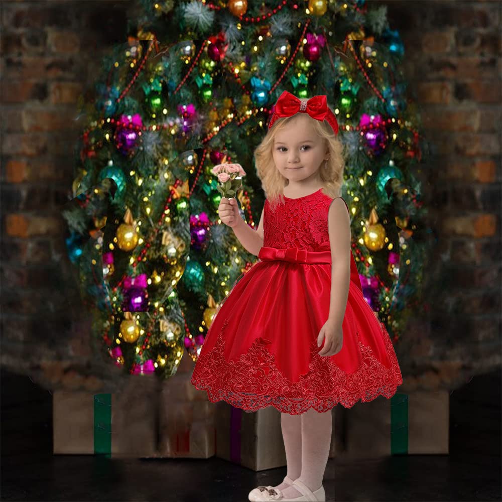 Baby Girls Christmas Embroidery Lace Dresses Infant Easter Halloween Wedding Formal Event Dress(Red,24M)