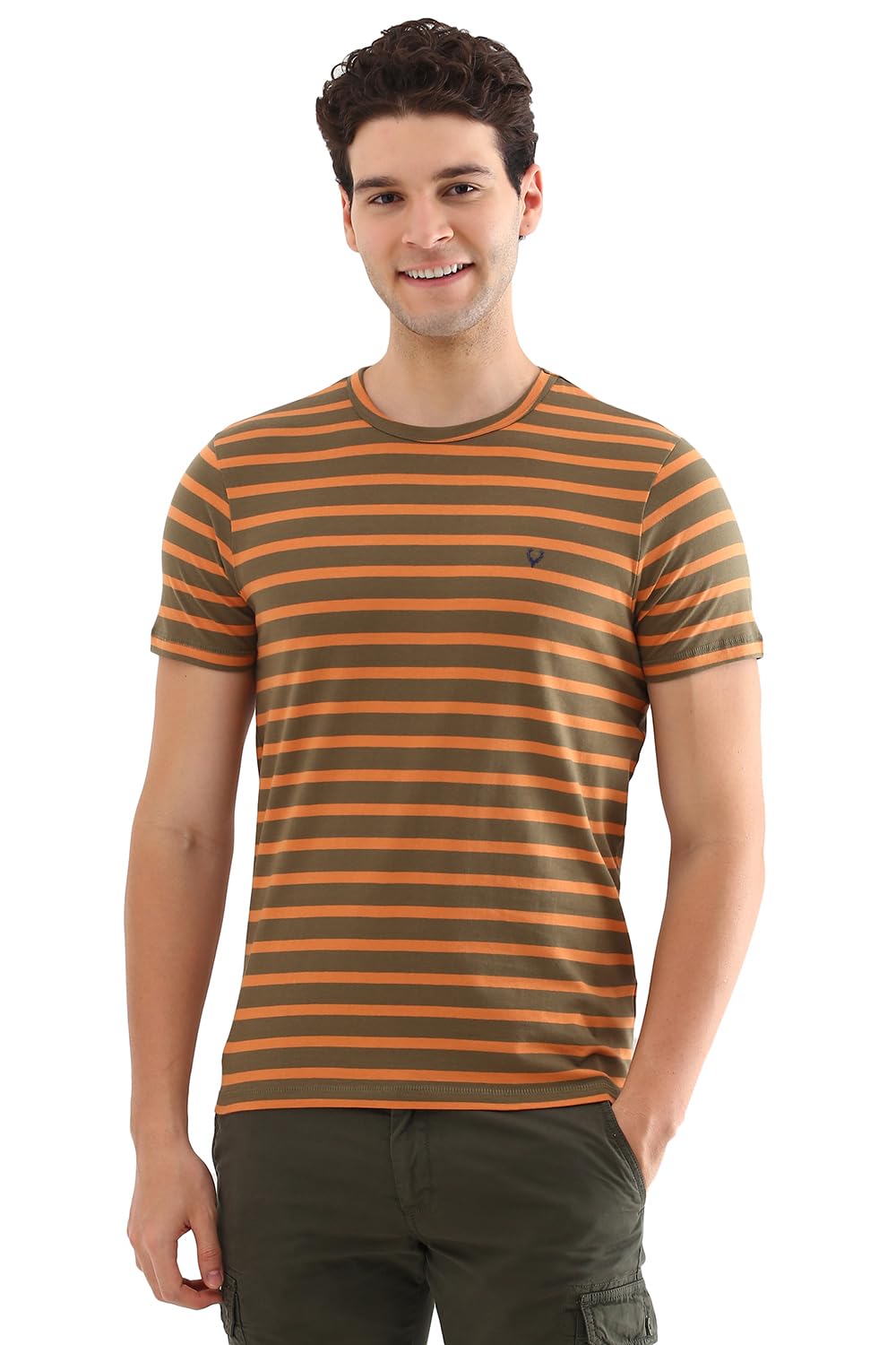 Allen Solly Men Striped Crew Neck T-Shirt