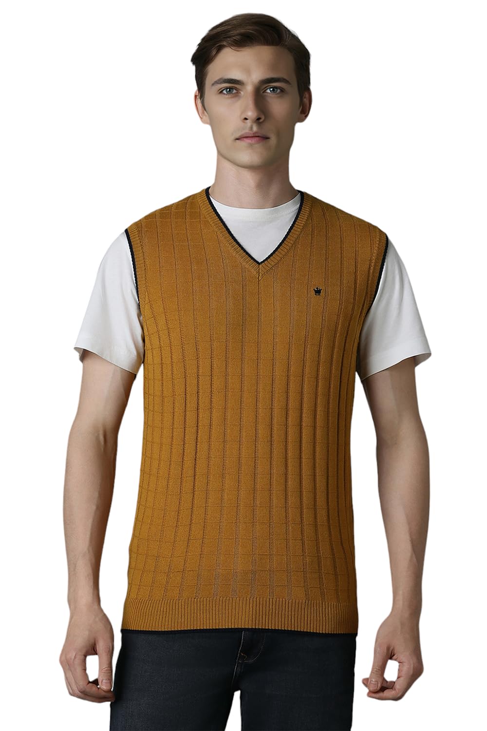 Louis Philippe Men Yellow Stripe V Neck Sleeveless Sweater