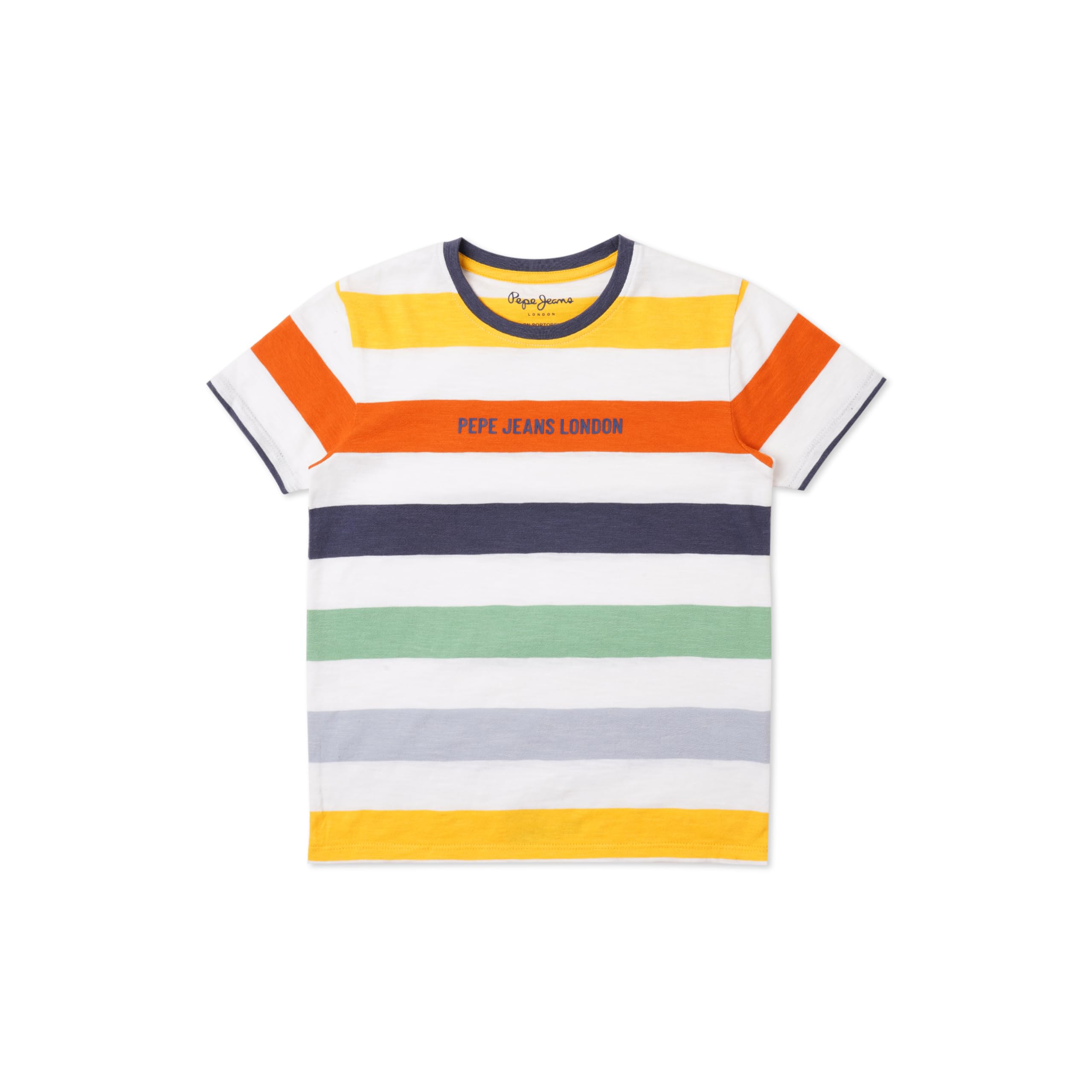 Pepe Jeans BoyS Regular Fit T-Shirt (Pb503794_Bleach Blue_Multi
