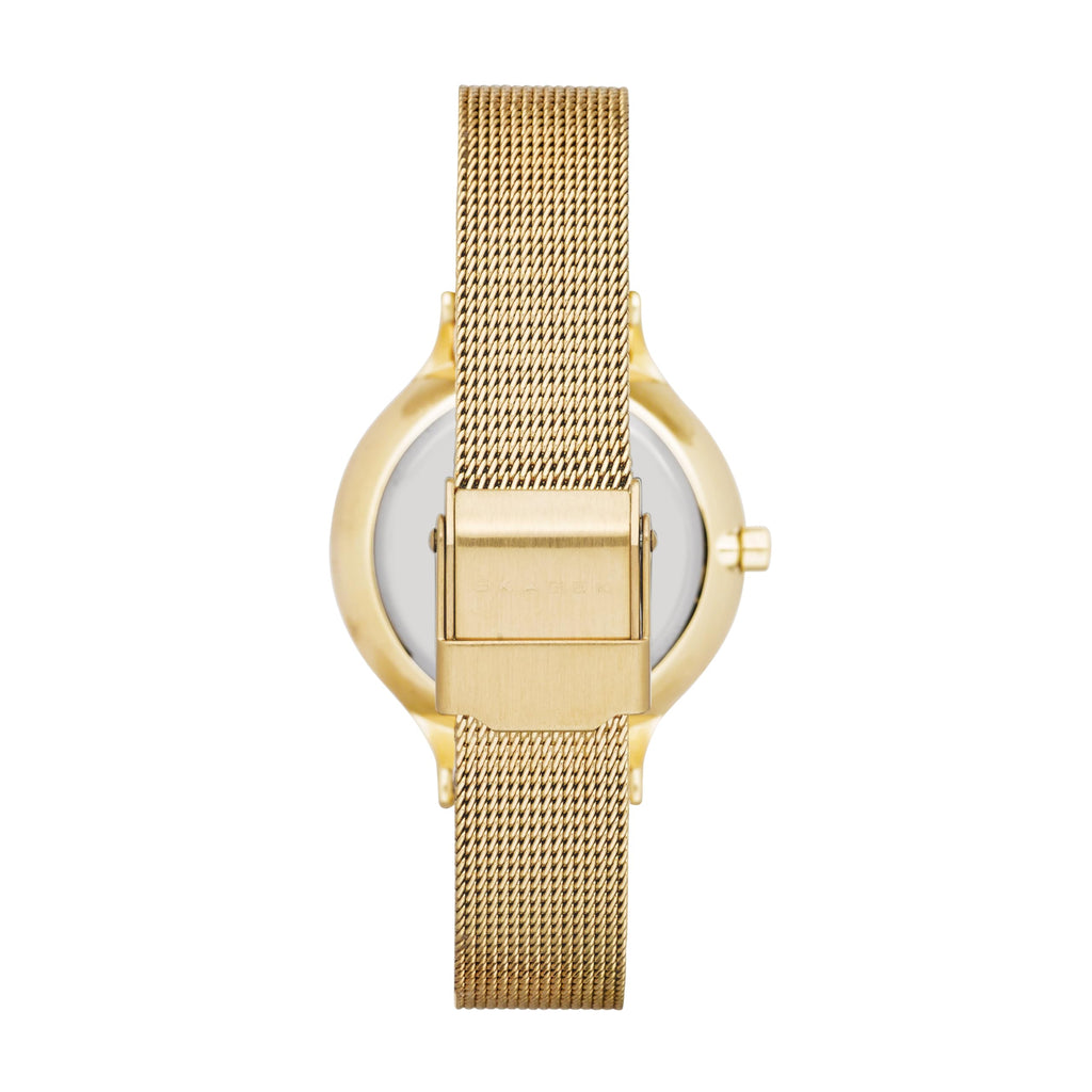 Skagen Women's Anita Lille Three-Hand Gold Stainless Steel Mesh Band Watch (Model: SKW2150)