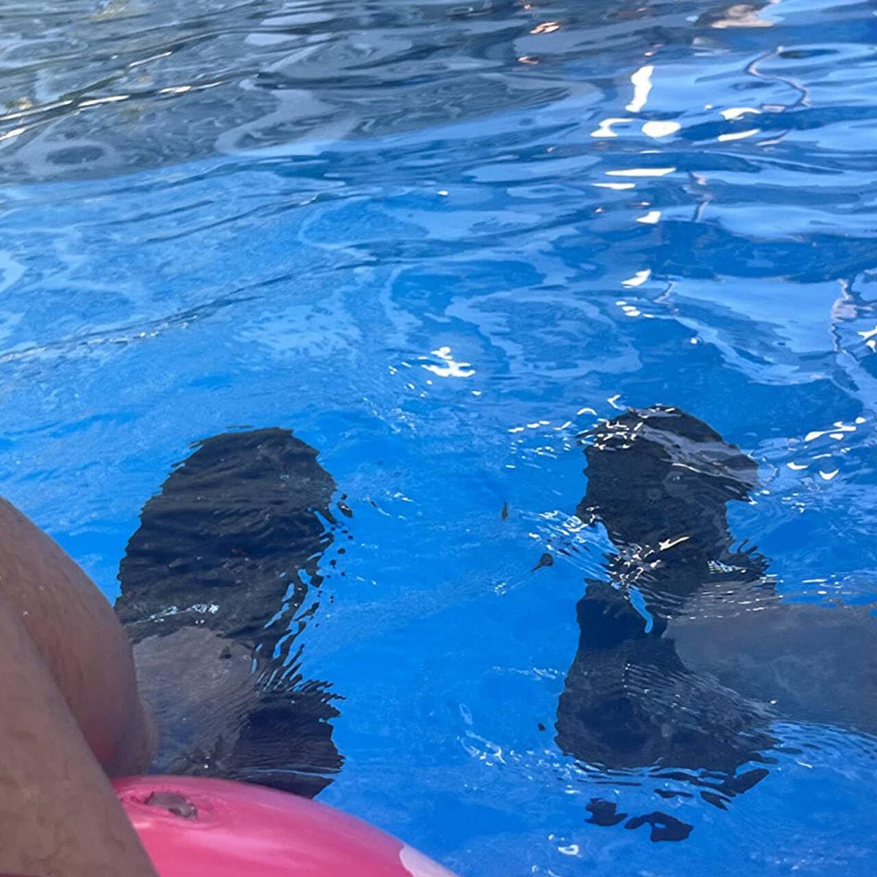 DOUSSPRT Men's Water Shoes Quick Drying Sports Aqua Shoes Dark Allblack Size 12.5