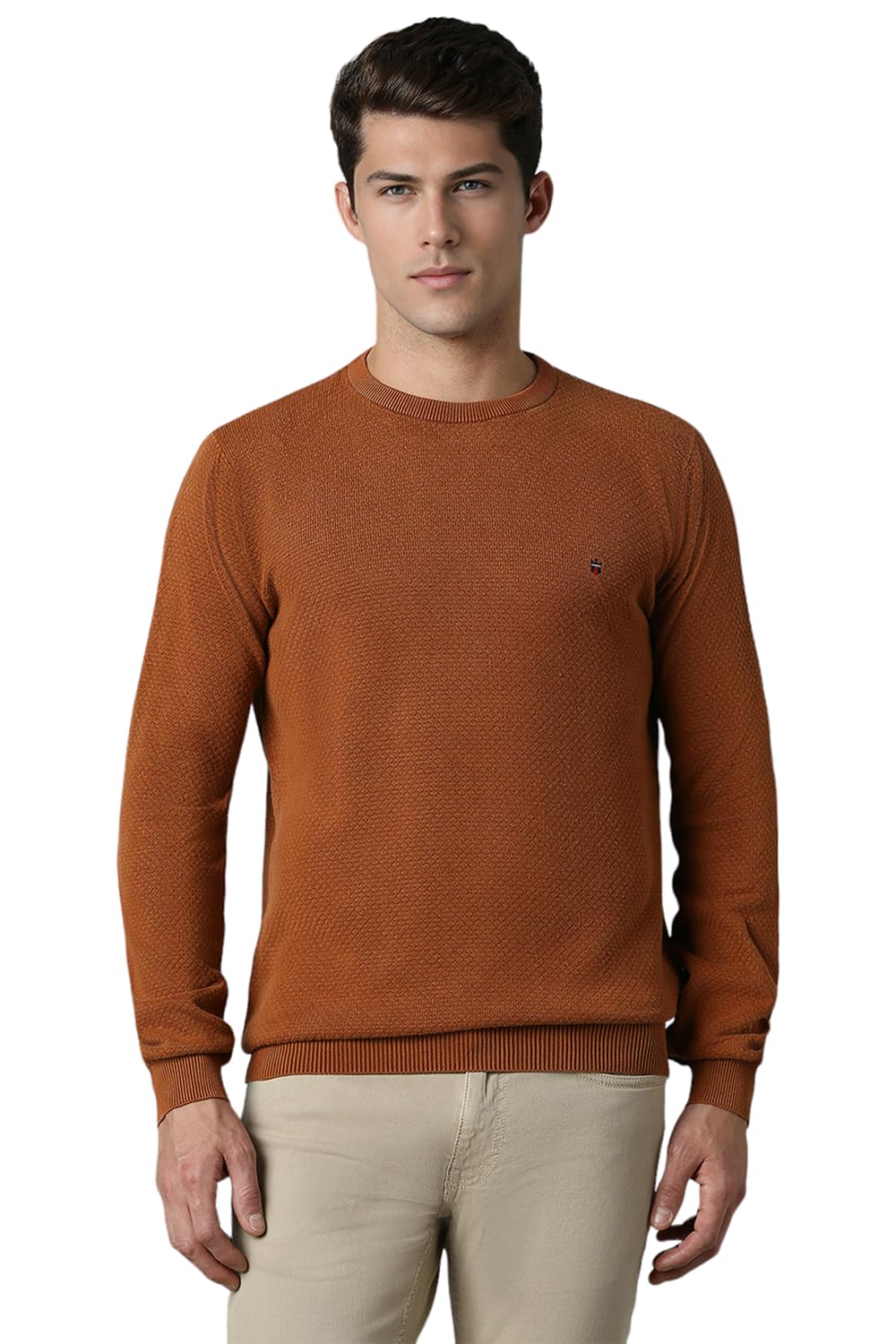 Louis Philippe Men Brown Textured Crew Neck Full Sleeves Sweater