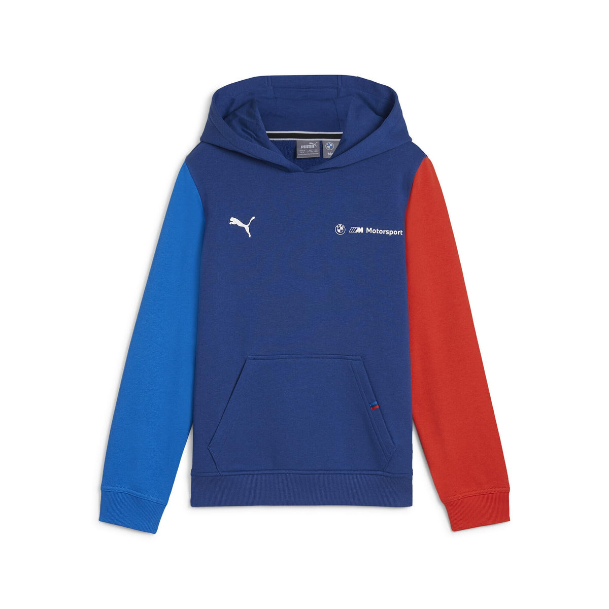 Puma UnisexKid BMW MMS Kids ESS Hoodie FT, Pro BlueM Color, 164 (62752904) 13-14
