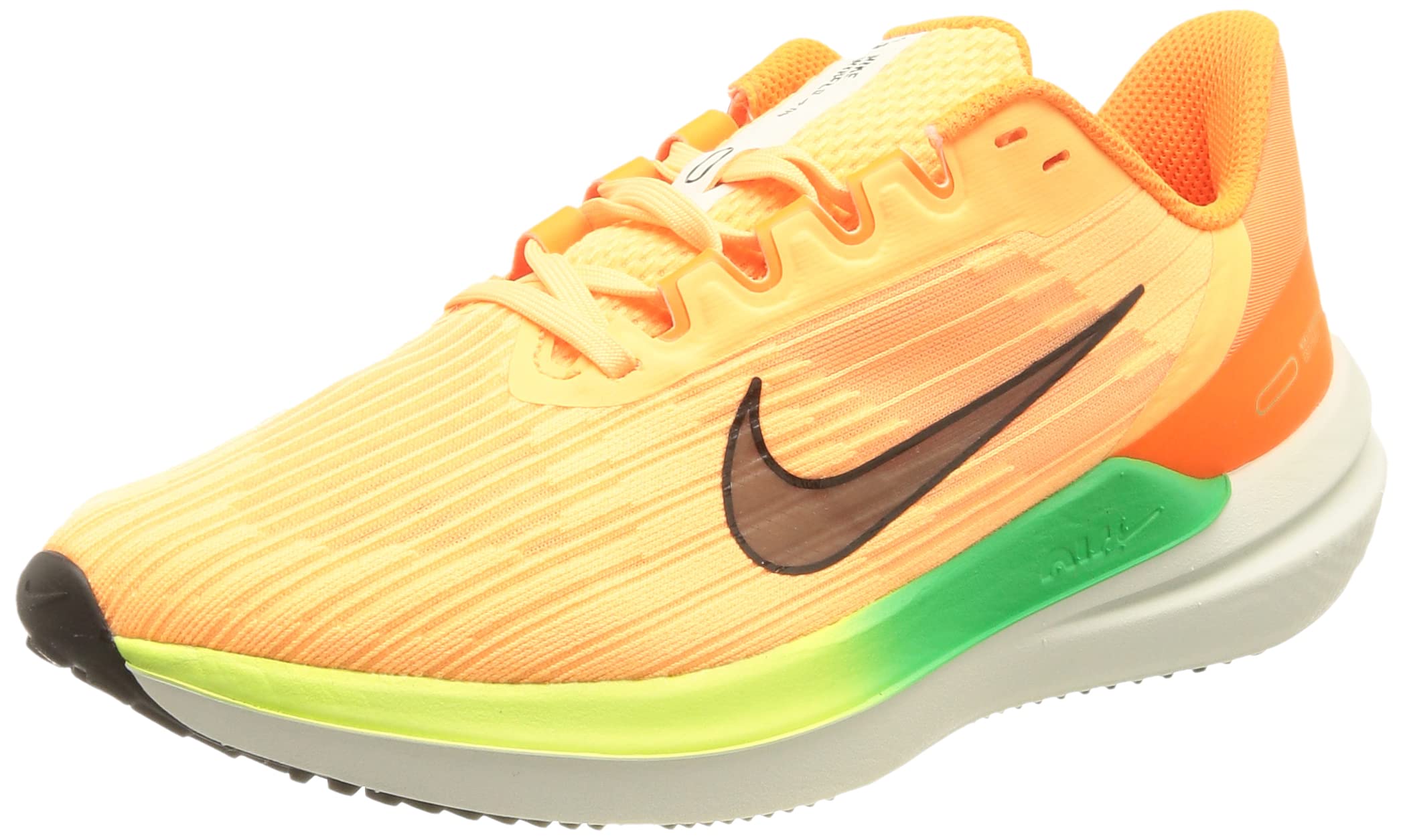 Nike Air Winflo 9 Women Running Shoes