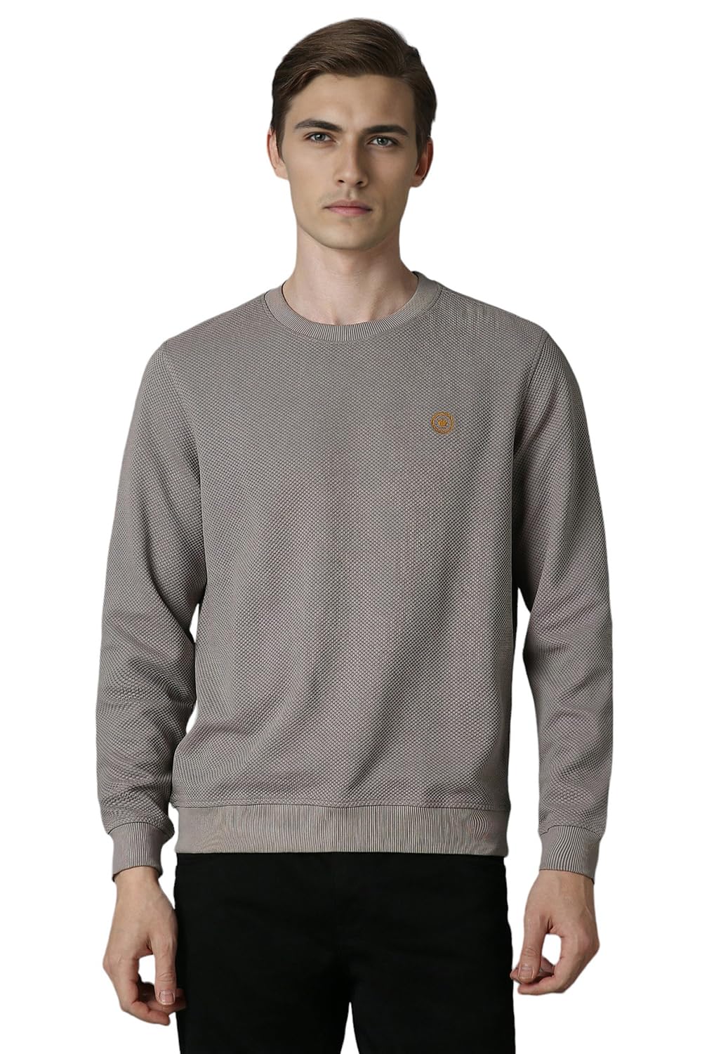 Louis Philippe MenS Polycotton Round Neck Sweatshirt (Lpstmrgfj95897_Grey