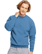 Unisex Ecosmart 5050 crewneck Sweatshirt - cARDINAL - S(D0102H7YTYP)