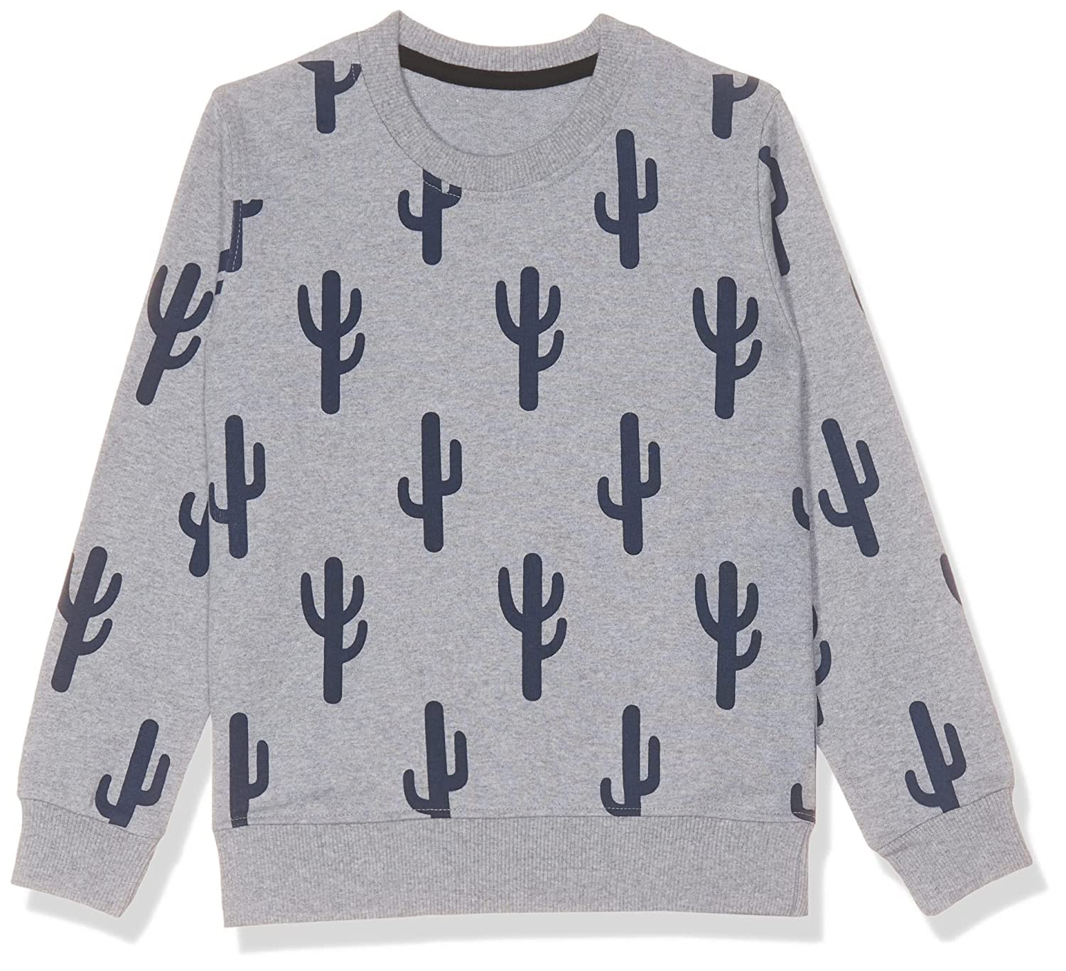 T2F Boys Cotton Printed Round Neck Sweatshirt (Pack of 2)