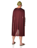 California Costumes Men's Spartan Warrior, Brown, Medium