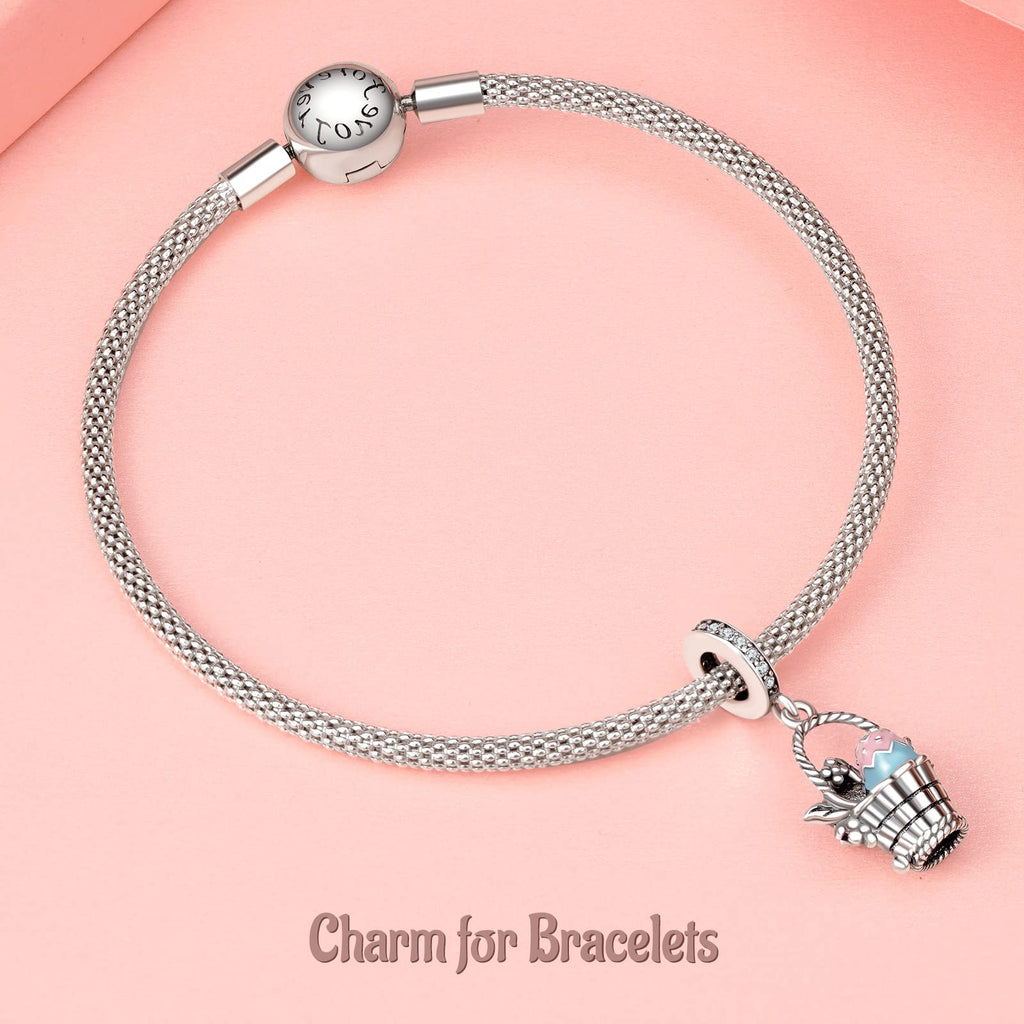 Annmors 925 Sterling Silver Charms fit Bracelets Necklaces Fruit Basket Dangle Beads with 5A Cubic Zirconia Christmas Valentine