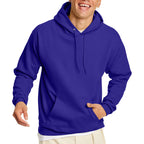 Hanes Men's Pullover EcoSmart Hooded Sweatshirt, purple, 5X Large