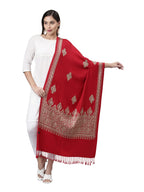 Womens Shalimaar Kashmiri Aari Embroidery Stole (Size: 71X203 CM)